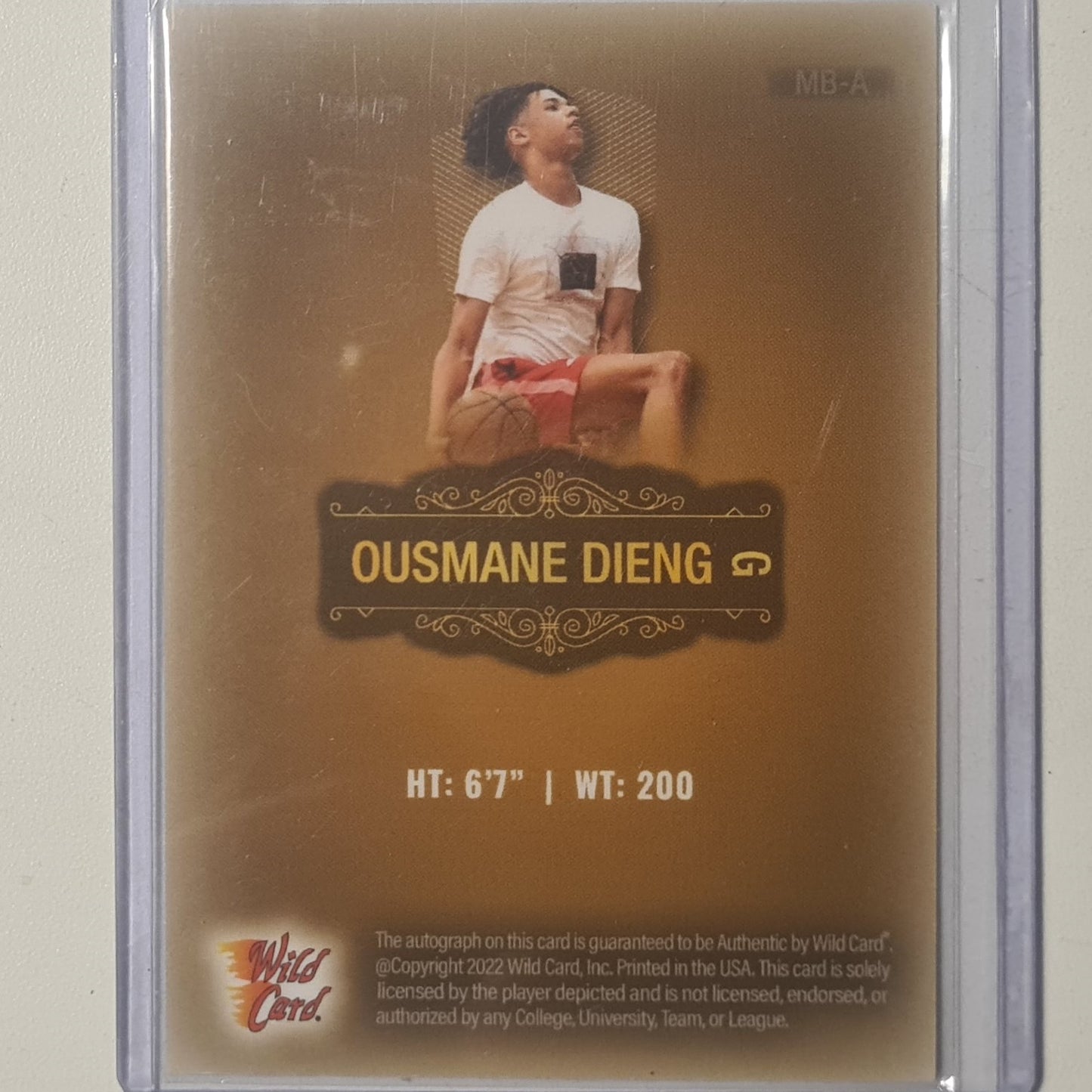 Ousmane Dieng 2022 Wild Card Matte premium Auto Rookie RC 44/100 Basketball Oklahoma City MINT
