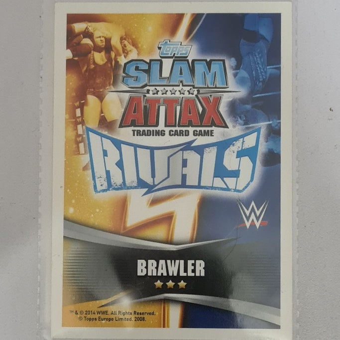 Brie Bella 2014 Topps Slam Attax Rivals Brawler #60 WWE Wrestling Excellent/mint sleeved