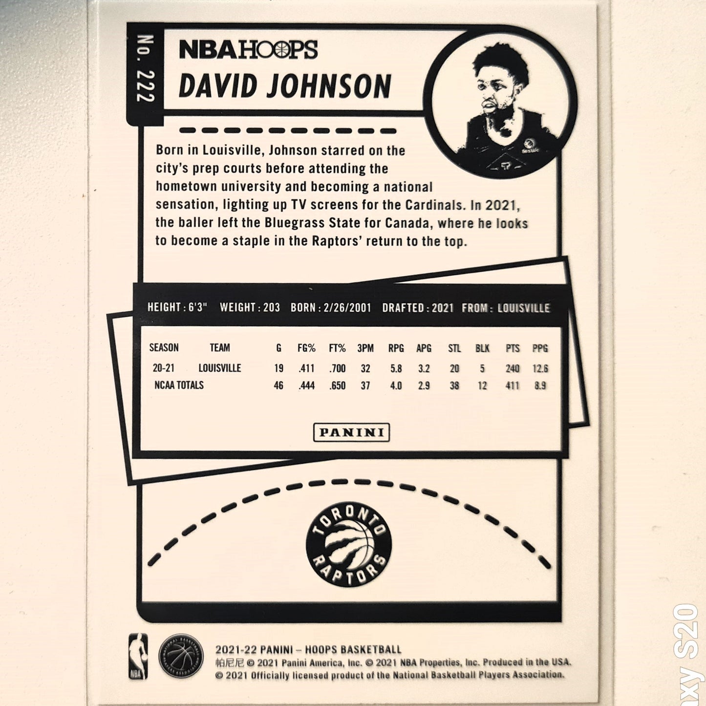 David Johnson 2021-22 Panini NBA Hoops Winter edition Rookie RC #222 NBA Basketball Toronto Raptors Excellent/mint sleeved