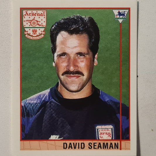 David Seaman 1996  Merlin 96 premiership sticker #301 Football soccer Arsenal Excellent Sleeved