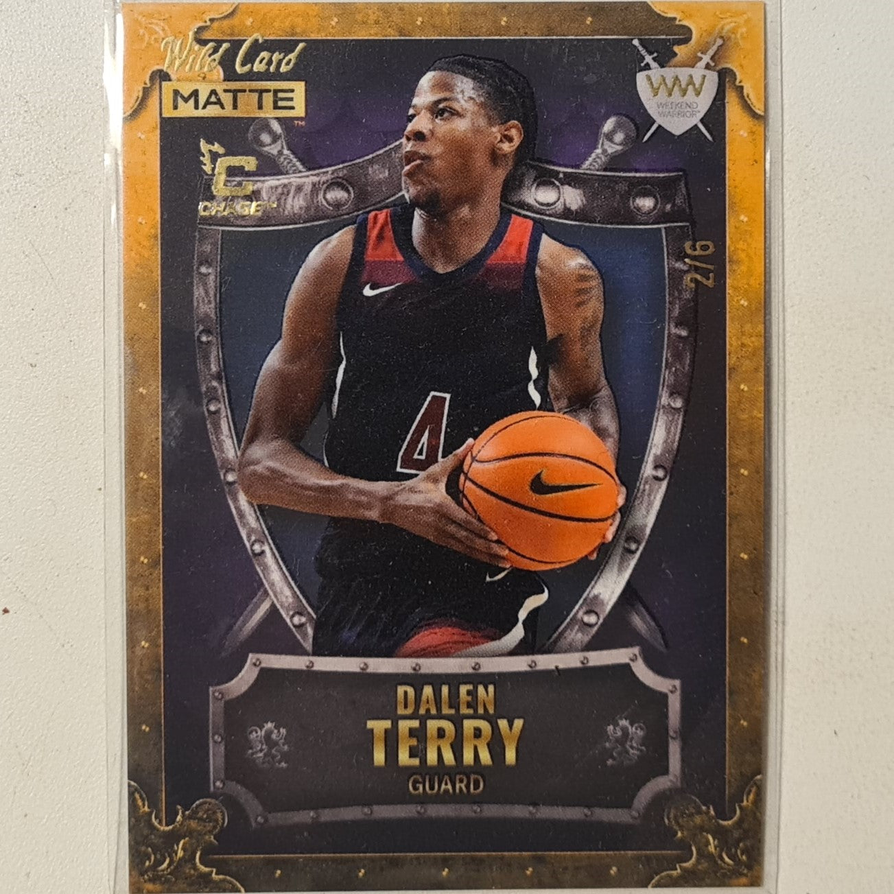 Dalen Terry 2022 Wild card matte C Chase numbered 2/6 WW-9 NBA Basketball excellent +sleeved