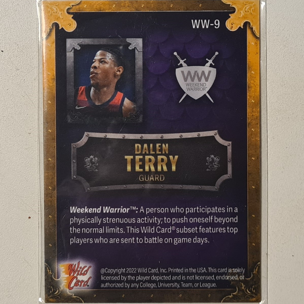 Dalen Terry 2022 Wild card matte C Chase numbered 2/6 WW-9 NBA Basketball excellent +sleeved