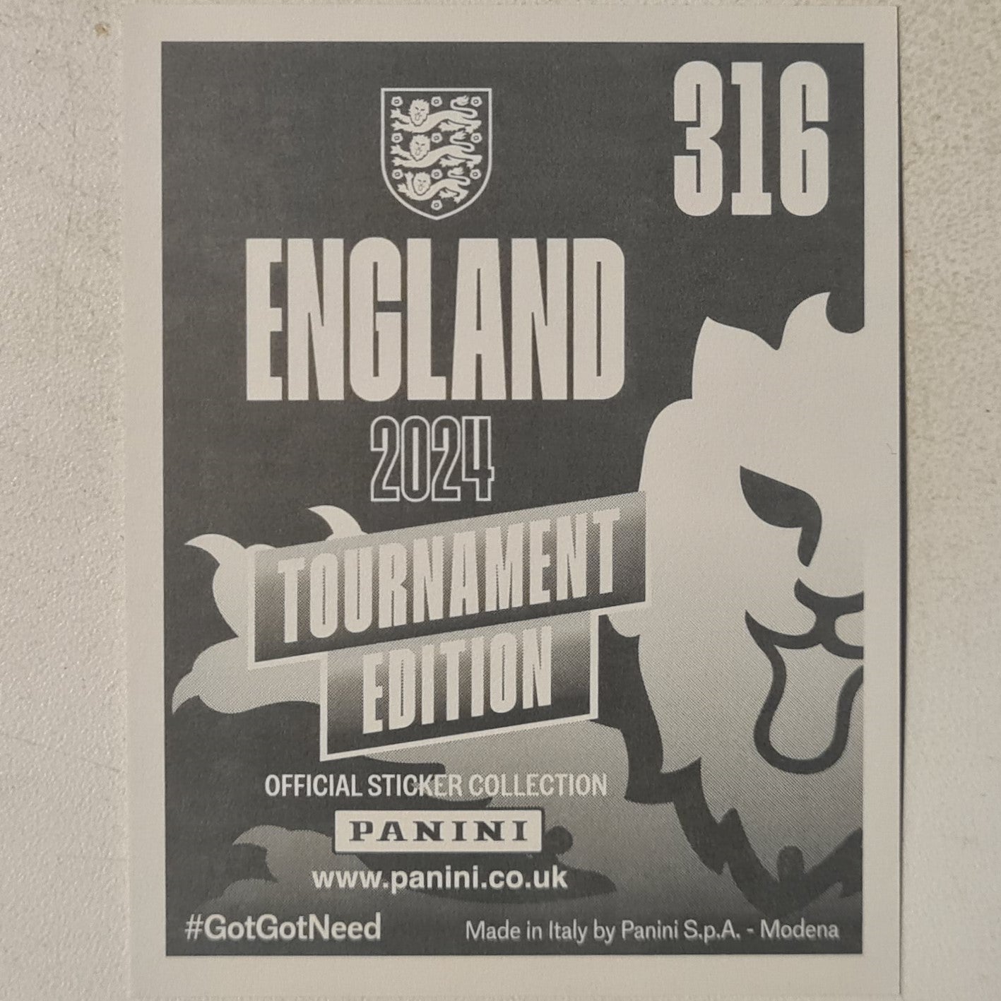 Marc Andre Ter Stegen Panini 2024 England Tournament edition Quality Keeper foil sticker #316 Deutsche Football mint