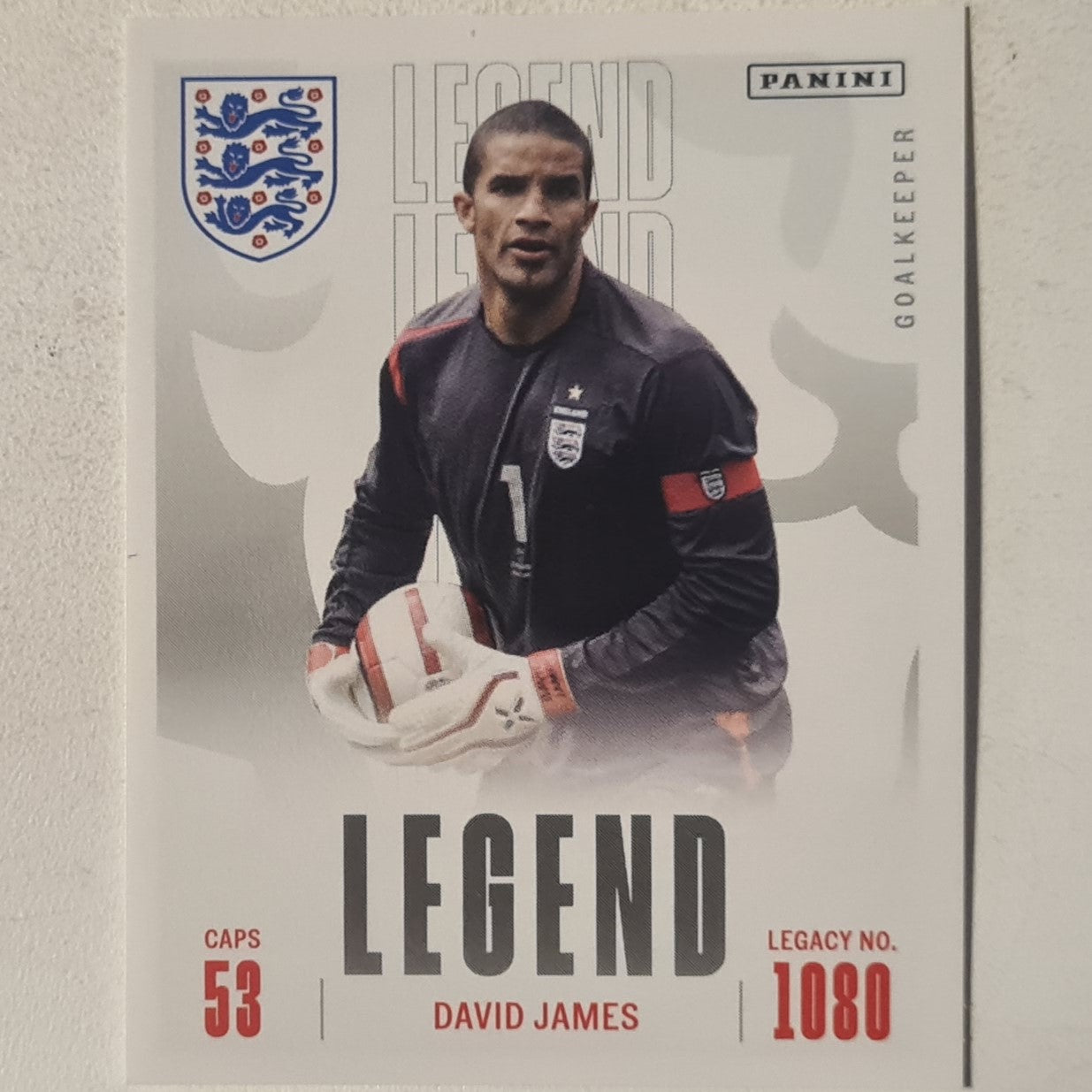 David James Panini 2024 England Tournament edition legend sticker #29 England Football mint