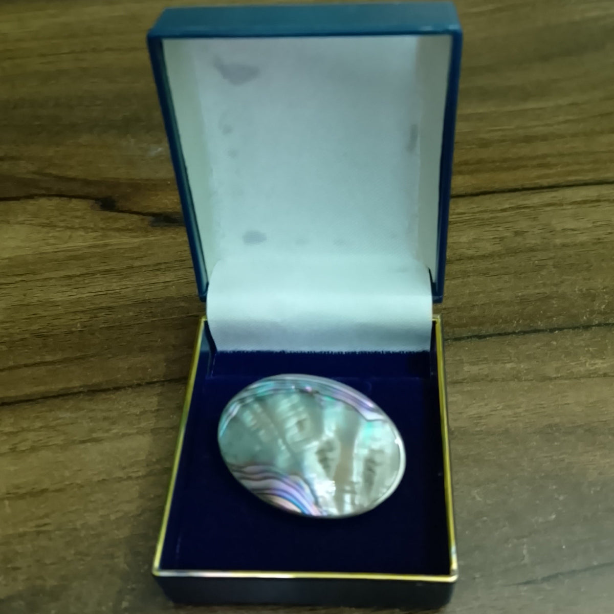 Vintage Alpaco mexico Abalone shell brooch very stricking jewellery 