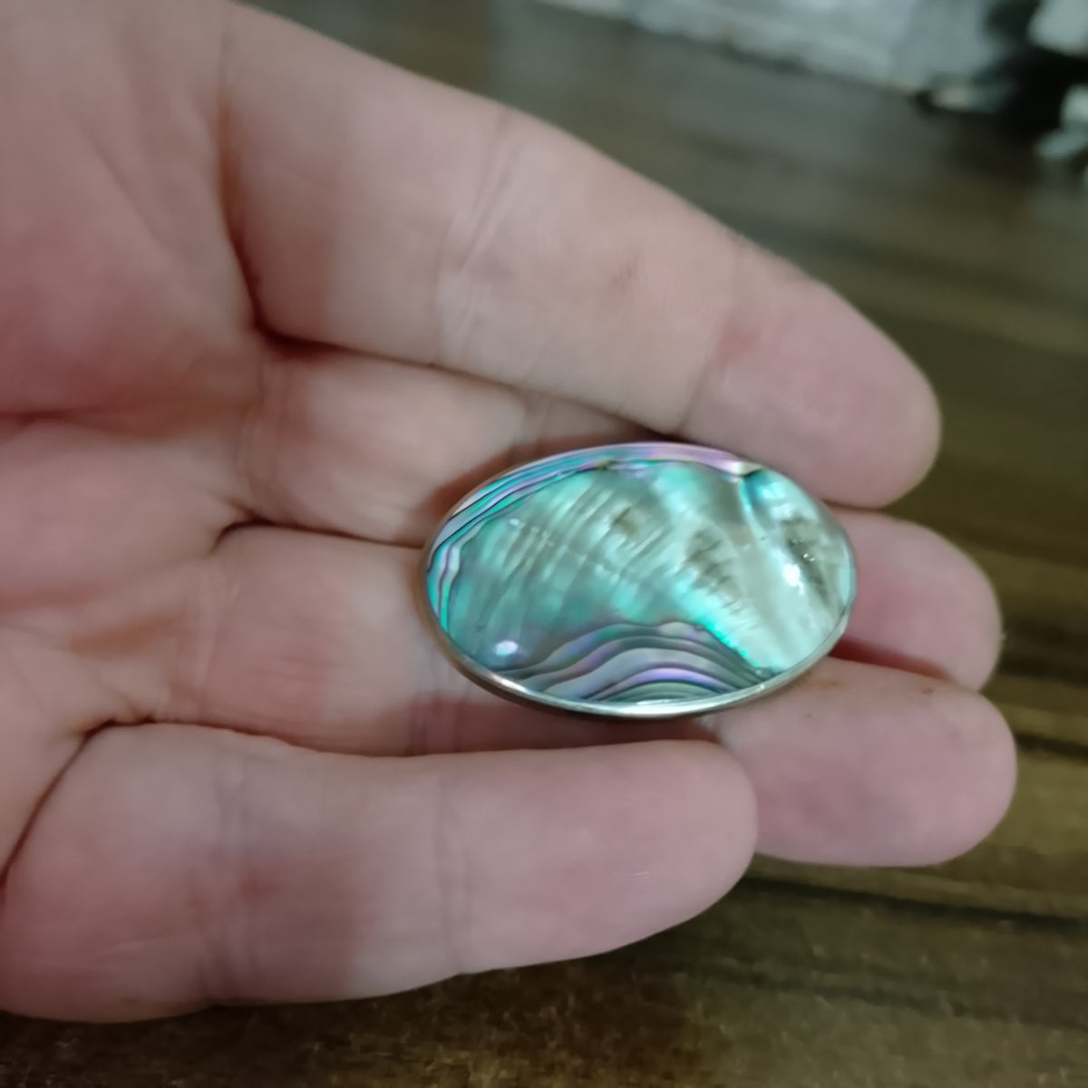 Vintage Alpaco mexico Abalone shell brooch very stricking jewellery