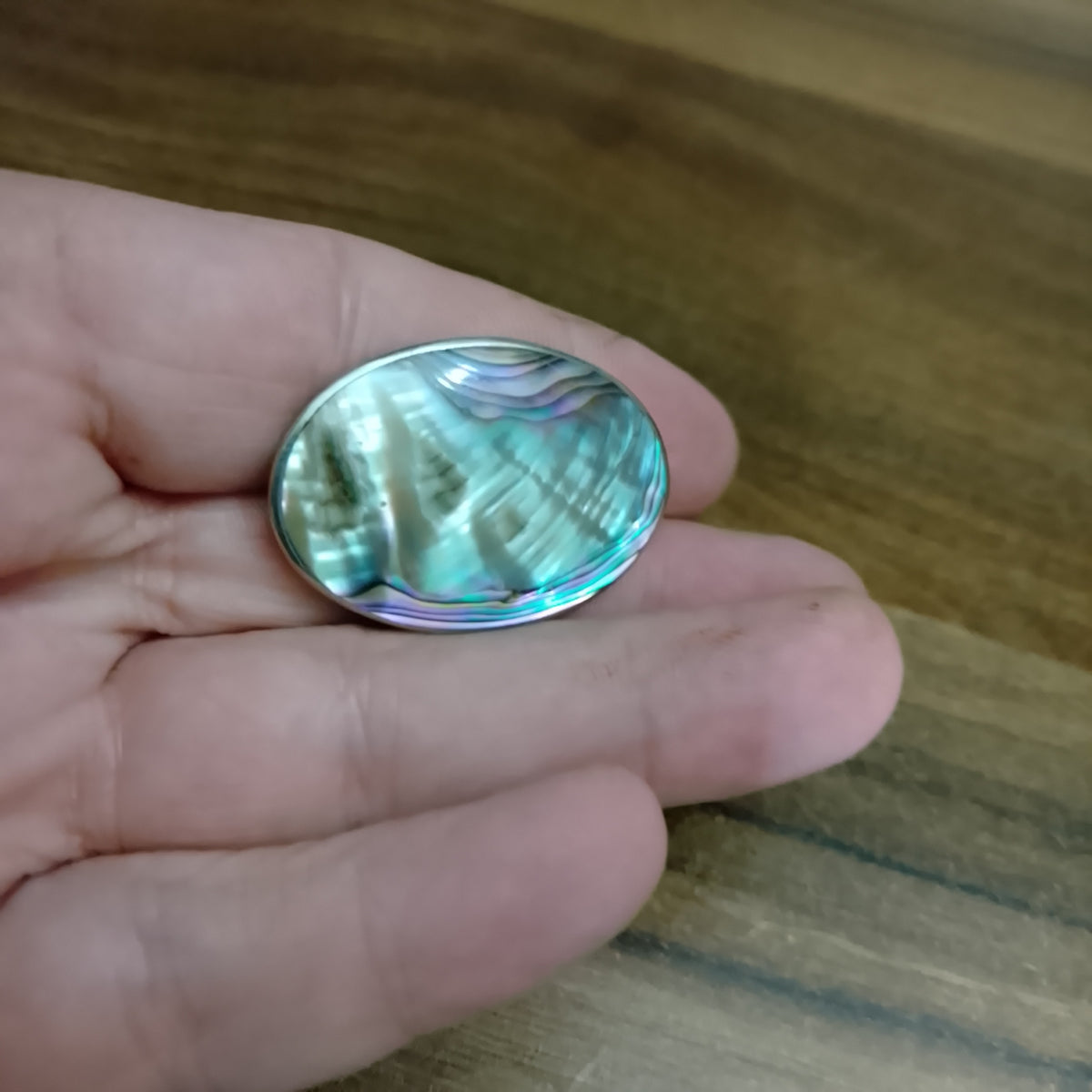 Vintage Alpaco mexico Abalone shell brooch very stricking jewellery